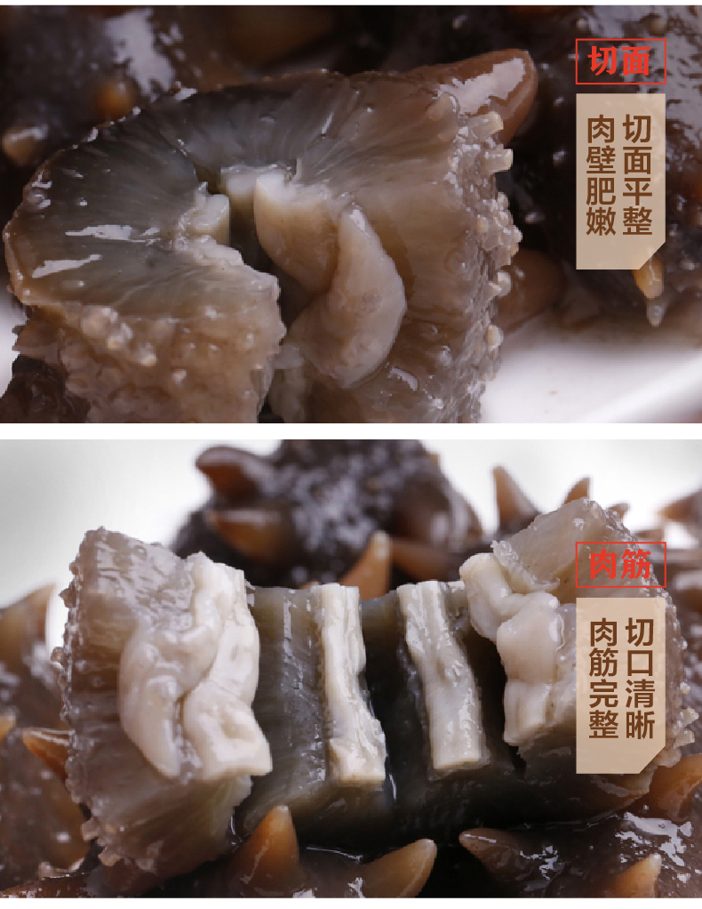 环岛深海传奇 即食海参礼盒装