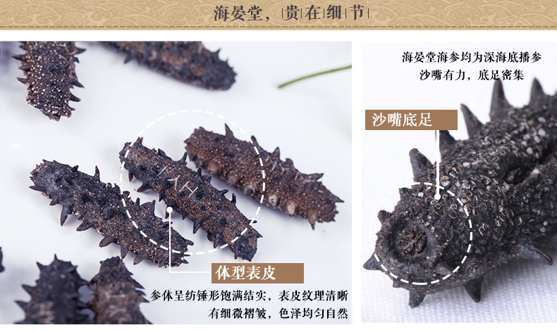海晏堂海参礼盒装
