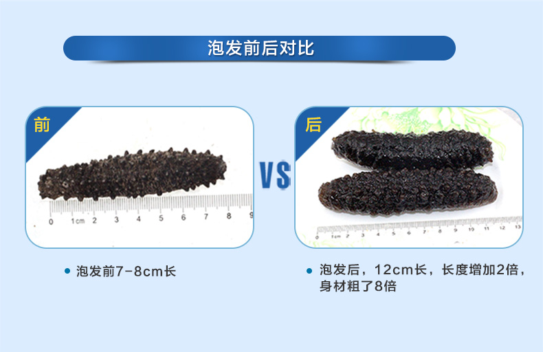 月亮湾即食海参礼盒装