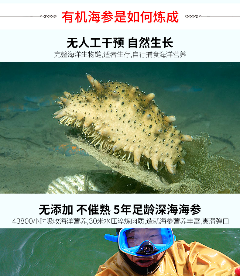 好当家海参礼盒装