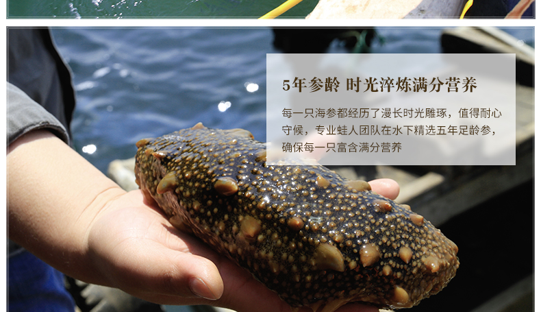 好当家海参礼盒装