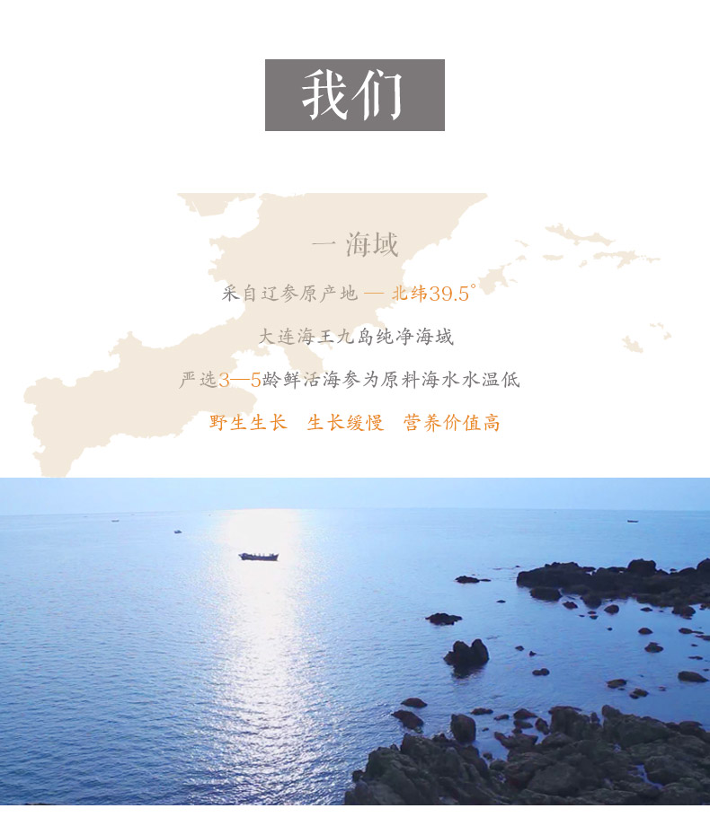 北纬36度海参野生生长环境