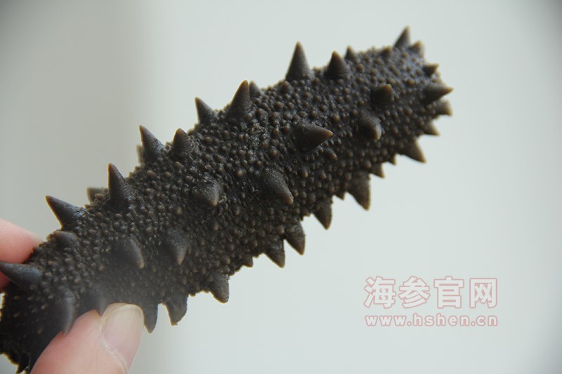 大连半干海参