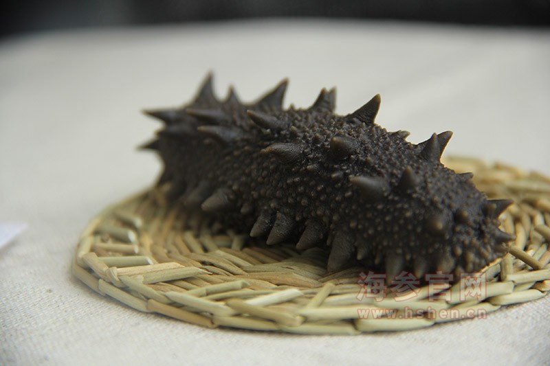 大连拉缸盐海参