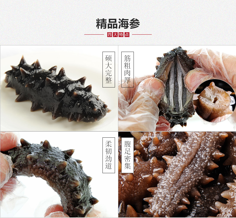 东泽海参品质超群