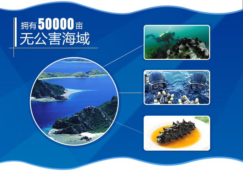 东泽海参无公害海域