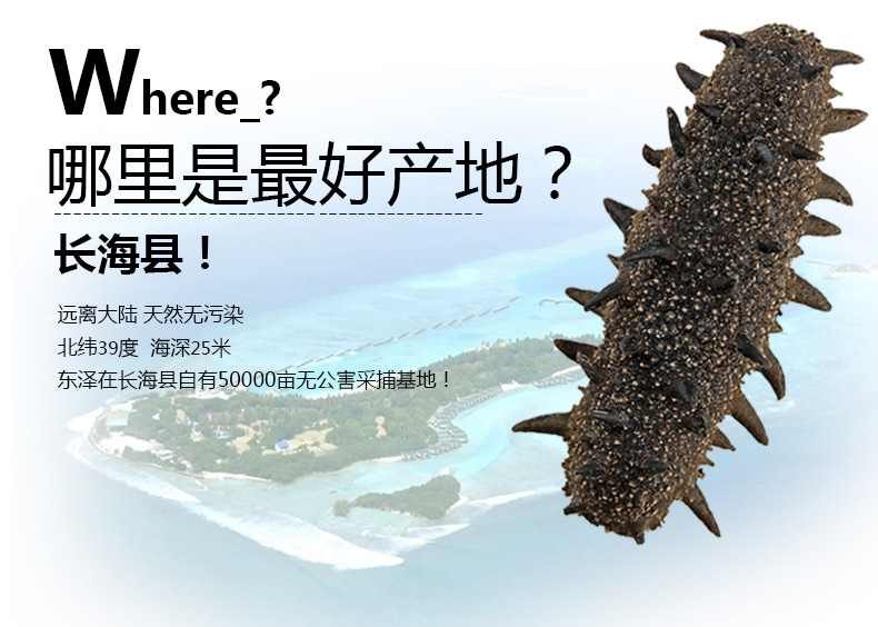 哪个产地的海参 长岛县