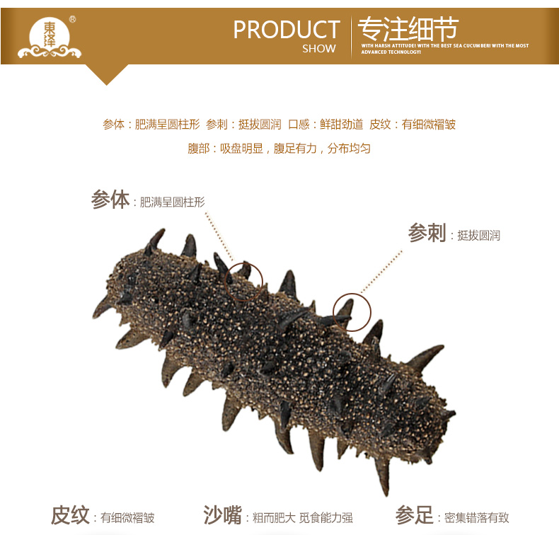 东泽海参专注海参细节