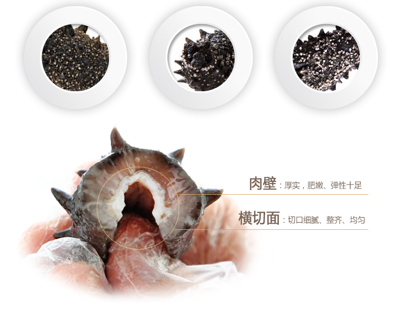 东泽海参肉厚有弹性