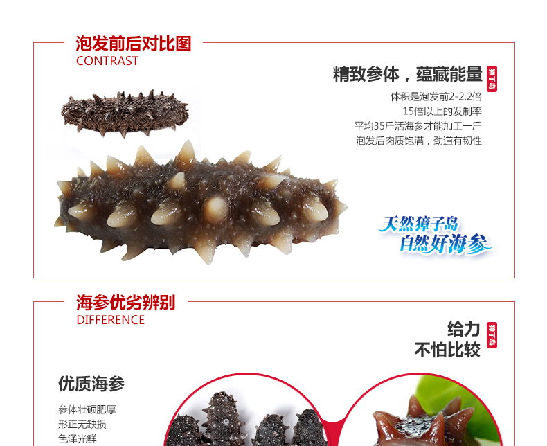 獐子岛海参泡发前后对比