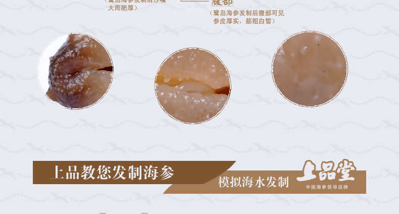上品堂海参泡发方法介绍