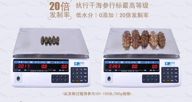 淡干海参如何泡发呢