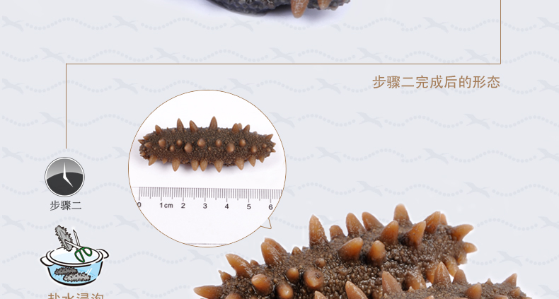 淡干海参如何泡发呢