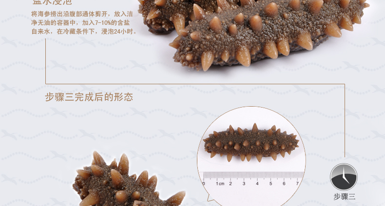 海参泡发步骤详解