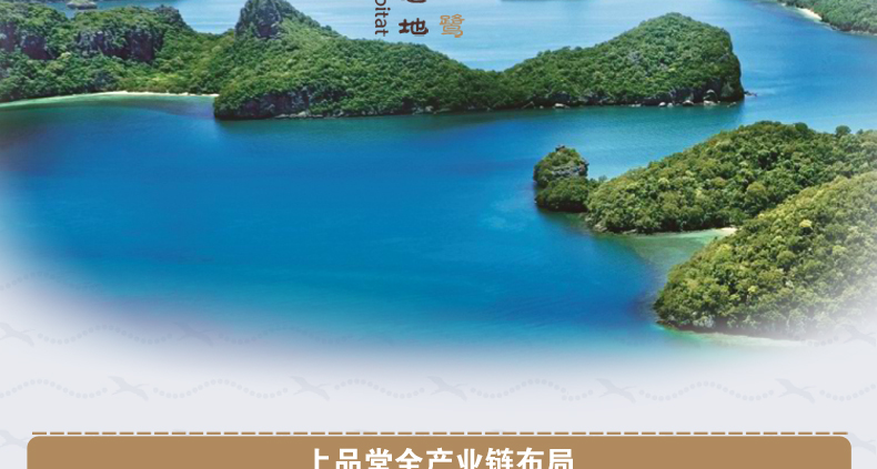 上品堂海参采捕过程1