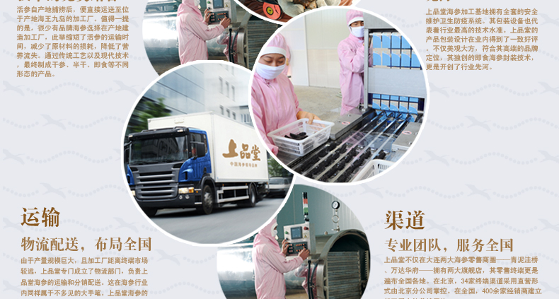 上品堂海参采捕过程3