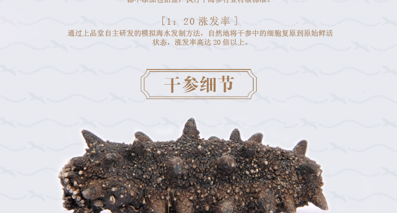 上品堂海参涨发率高达20倍