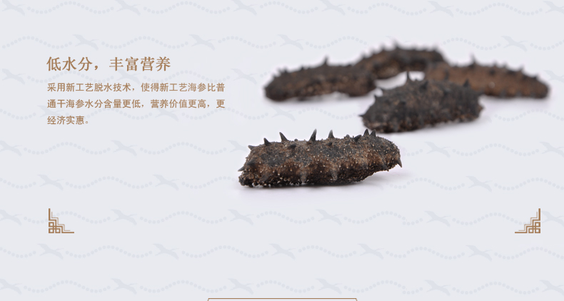 泡发后的上品堂海参背面