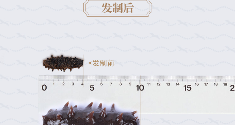 上品堂海参泡发方法介绍