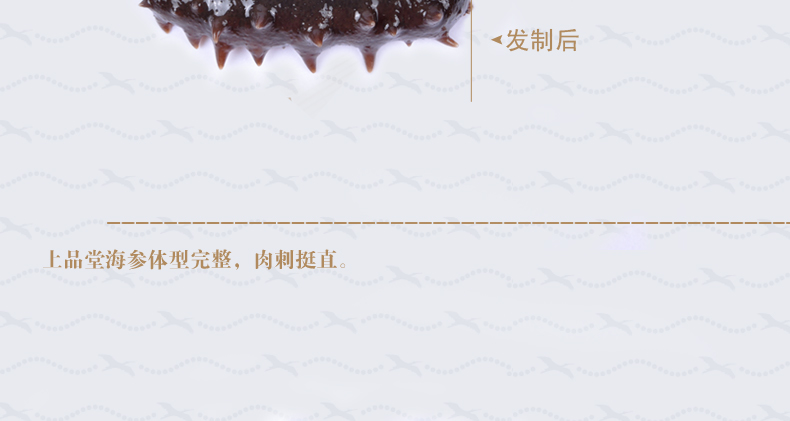 淡干海参如何泡发呢