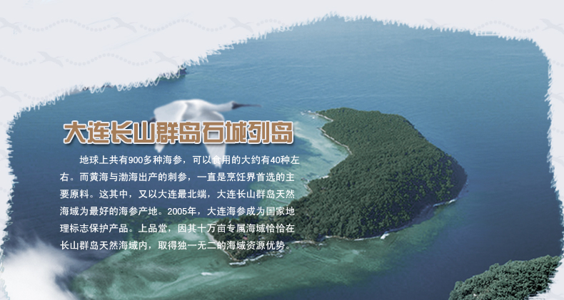长山群岛小海域海参稀缺更珍贵
