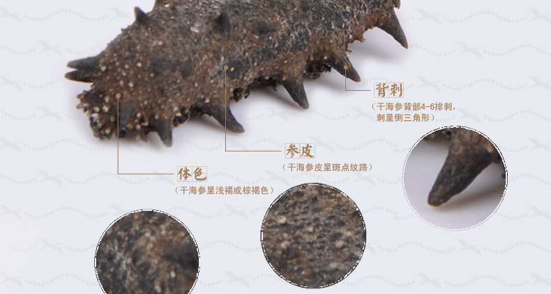 上品堂纯淡干的表明实拍