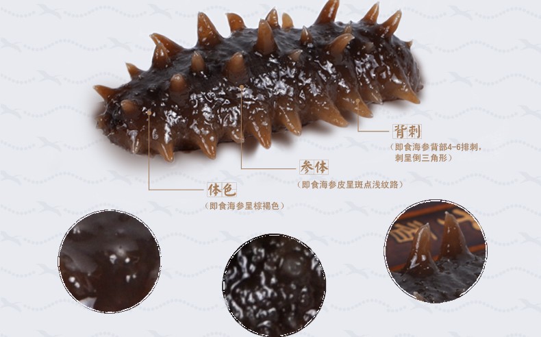 大连上品堂即食海参实物图
