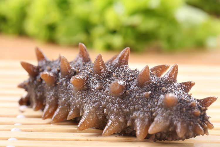 威宝即食海参实拍2