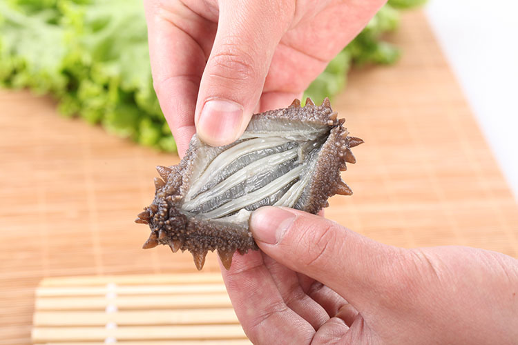 海参筋完整高清