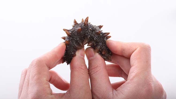 即食海参弹性十足
