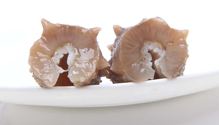 海参横切面 壁厚有弹性