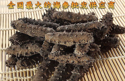 海参批发